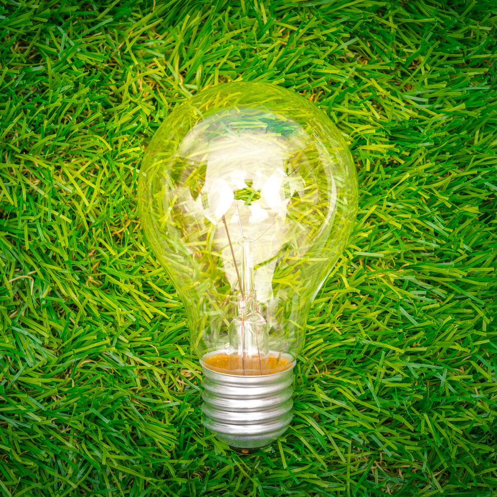 Eco concept – light bulb grow in the grass Image